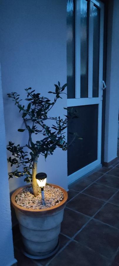 שיבניק Apartman Campo מראה חיצוני תמונה